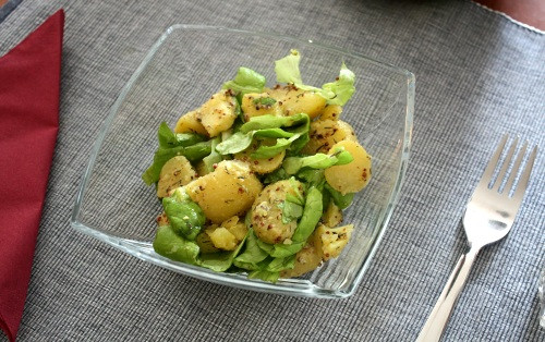 brambory_tymian_horcice