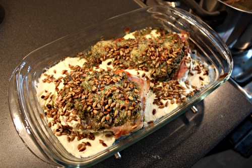 ryba_s_pestem_a_sunkou_1